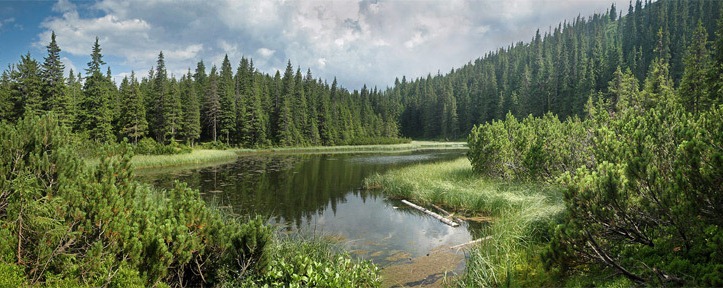 ТОП-7 чудес гуцульської Верховини, які варто побачити - фото 3