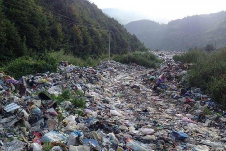 Жахи Міжгірщини: Як унікальна природа потопає у смітті - фото 4