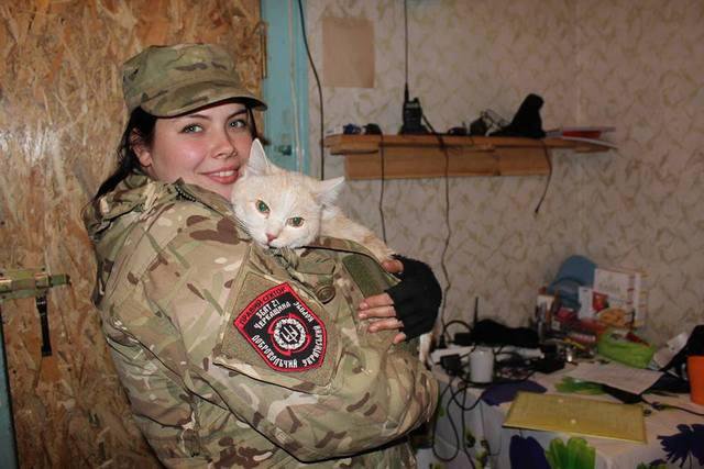 Із окупованого Криму втік кіт-нелегал - фото 1