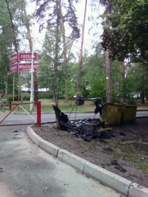 У столичному парку орудують сміттєві хулігани - фото 2
