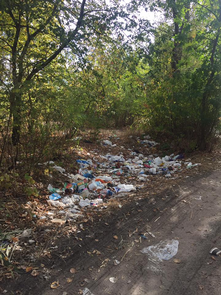 Біля Дніпра прибирали сміття на місцях пікників на річці Оріль - фото 1