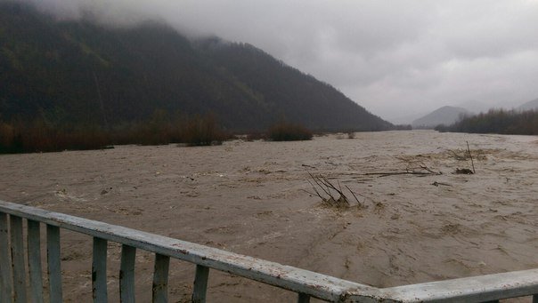 Негода на Закарпатті: велика вода руйнує мости та елекромережі  - фото 2
