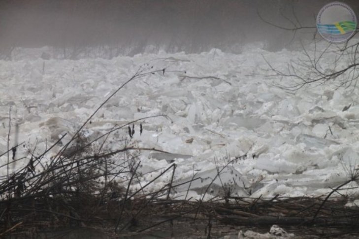 На річці Уж утворився льодовий затор довжиною два кілометри - фото 2