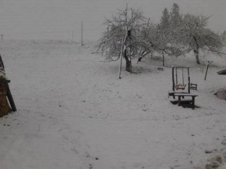 У мережі з'явились фото квітневого снігу на Закарпатті - фото 2