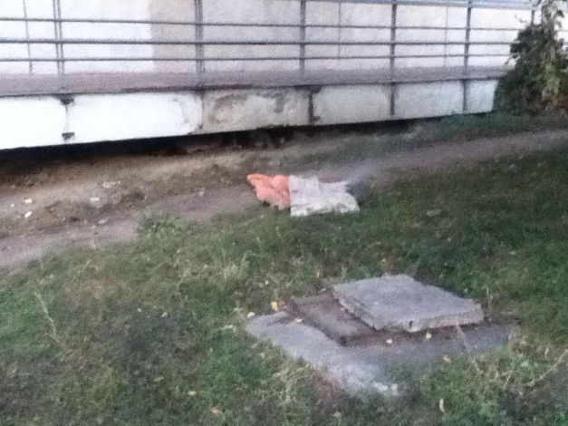 Під спортшколою у Кіровограді загорілася нічліжка бомжів - фото 1