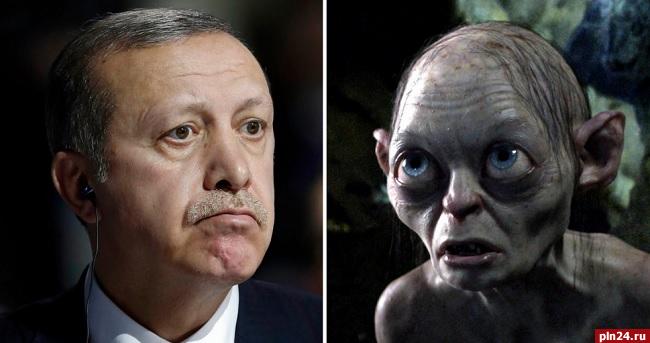 Турецький суд перевірить, чи схожий Ердоган на Голлума з "Володаря перснів" - фото 1