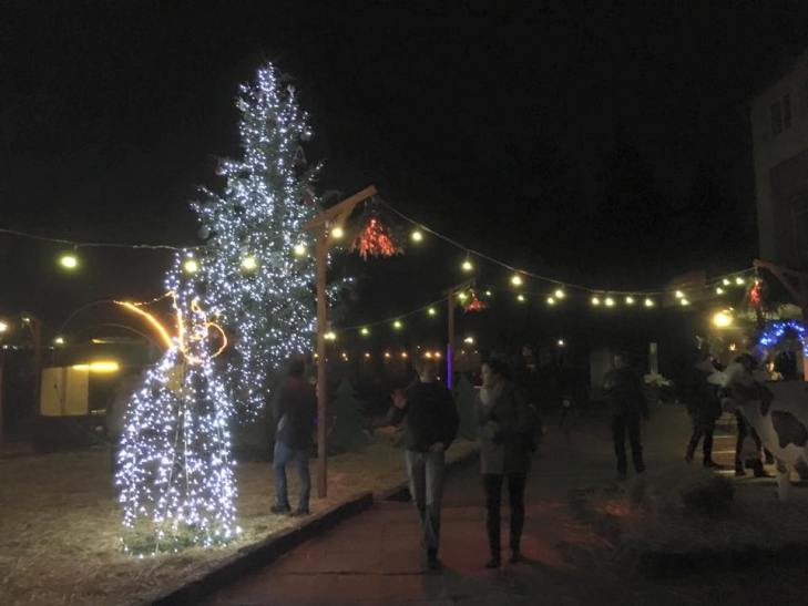 Закарпатські "цімбори" влаштували благодійне різдвяне містечко - фото 2