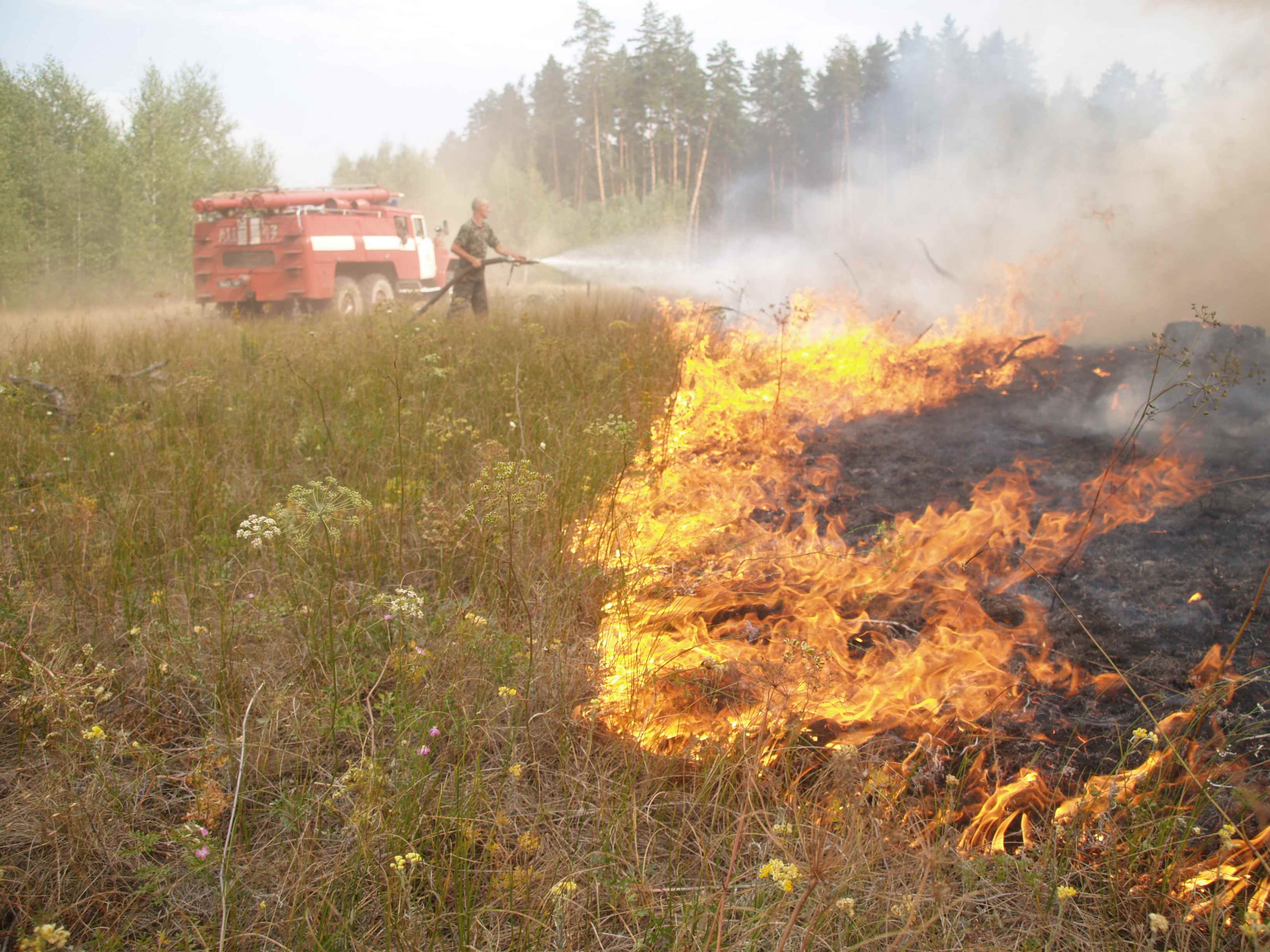 На Харківщині за добу сталося 13 пожеж - фото 1