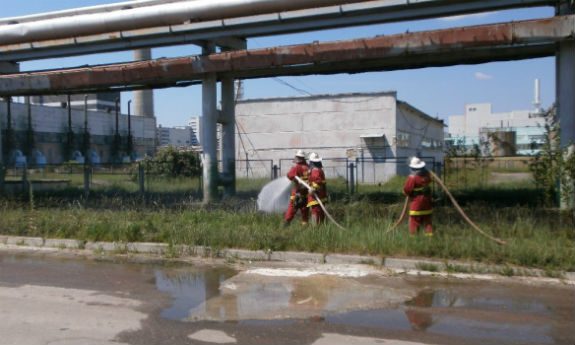 У Чорнобилі знову горіла трава (ФОТО) - фото 3