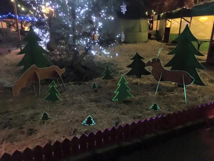Закарпатські "цімбори" влаштували благодійне різдвяне містечко - фото 1