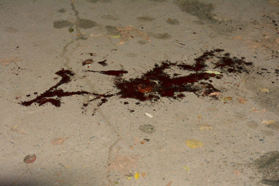 Поліція нарахувала п'ятьох постраждалих після стрілянини у Миколаєві - фото 2