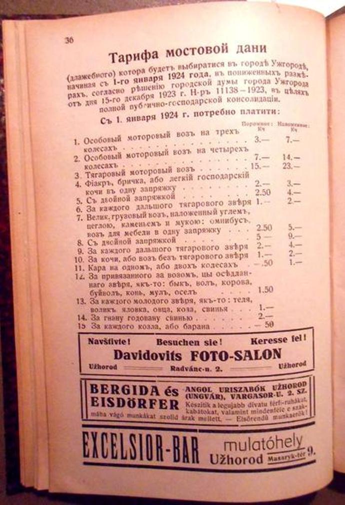 Які податки сплачували ужгородці у 1924 році - фото 1