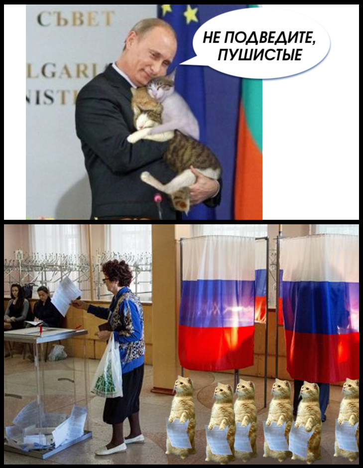 Чи будуть зомбі та котики приймати участь у російських виборах (ФОТОЖАБИ) - фото 3