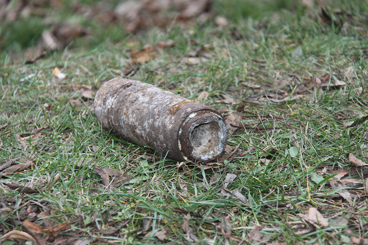 У Вінниці в стовбурі дерева знайшли вибухівку - фото 1