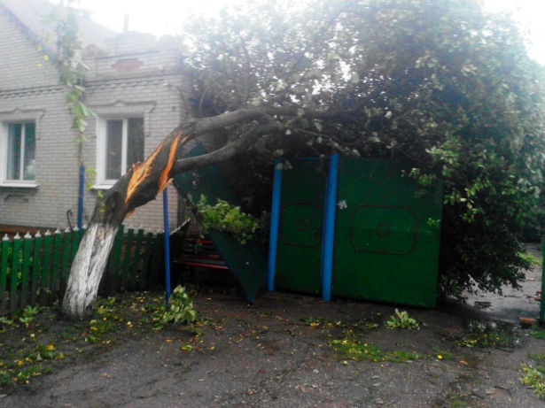 Смерч на Сумщині позносив покрівлі з будинків, понищив дерева та пообривав провода (ФОТОФАКТ) - фото 2