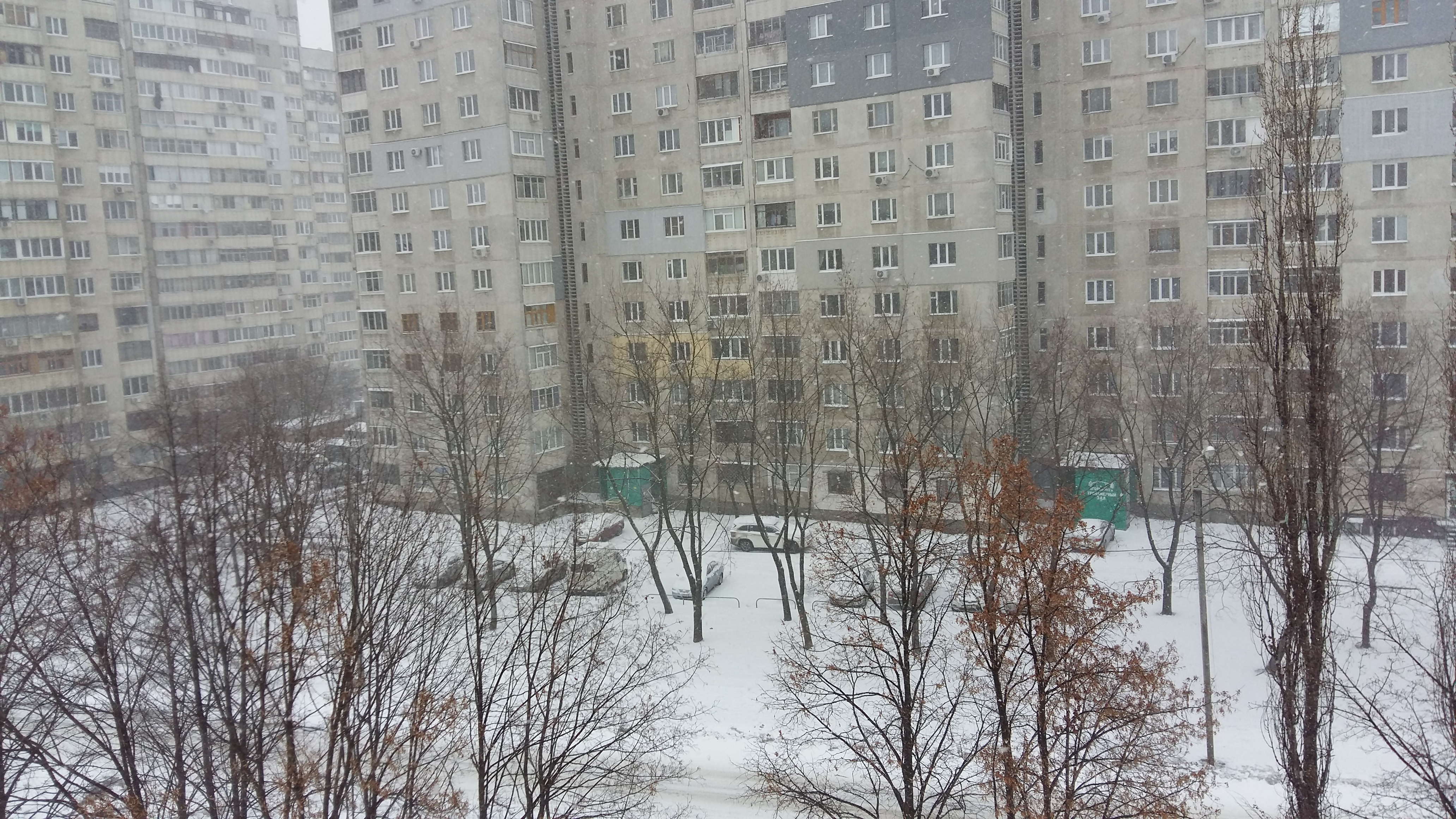 Харків замітає снігом  - фото 1
