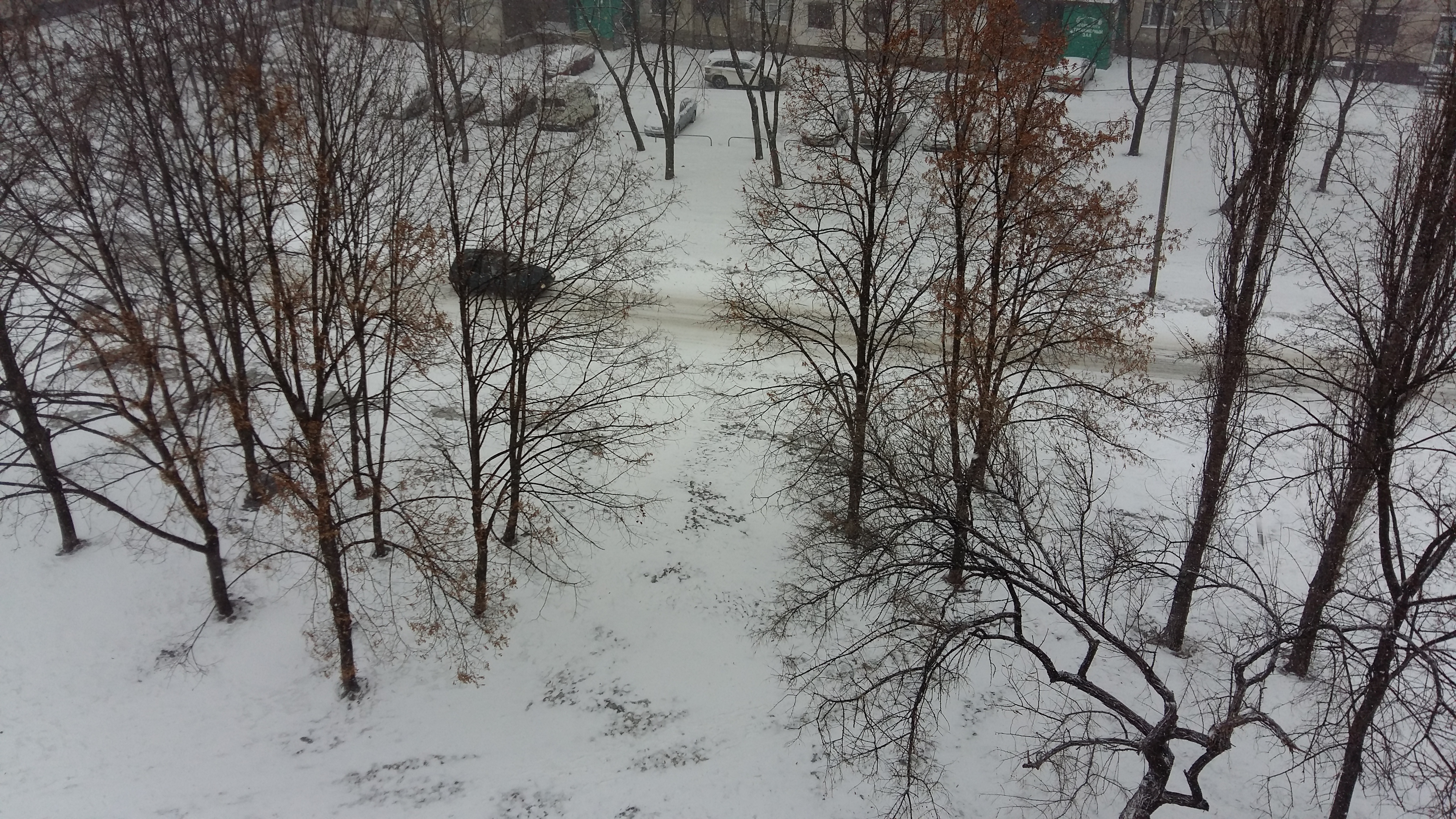 Харків замітає снігом  - фото 2