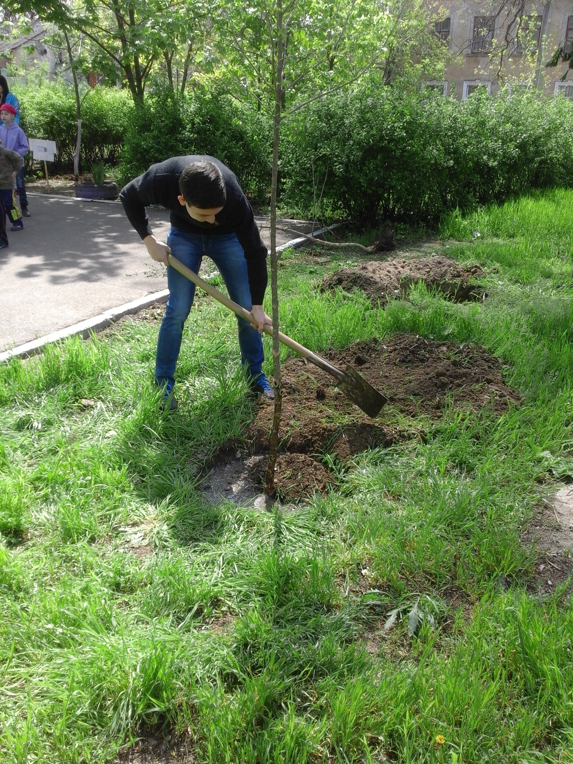 Миколаївська молодь привела до ладу занедбаний паркМиколаївська молодь привела до ладу занедбаний парк