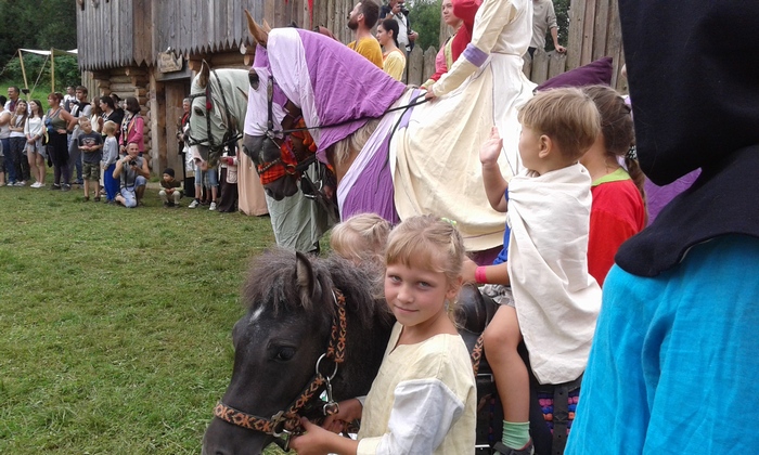 Як тусили на середньовічному фестивалі у Тустані (ФОТО, ВІДЕО) - фото 9