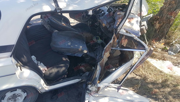 У Бердянську автівка в'їхала у дерево - постраждали п'ятеро людей - фото 2