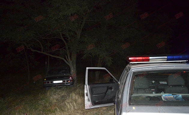На Запоріжжі п'яний таксист, тікаючи від поліції, в'їхав у дерево - фото 4