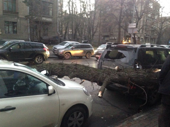 У центрі Києва на автомобілі впало величезне дерево  - фото 1