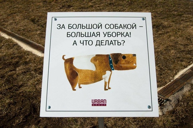 На Росії домашні тварини виховують своїх власників - фото 4