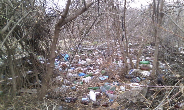 У Кіровограді прибирають величезний несанкційований смітник - фото 6