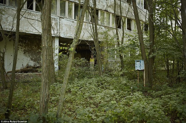 Дівчина після евакуації повернулася до Чорнобиля, щоб зробити моторошні фото - фото 6