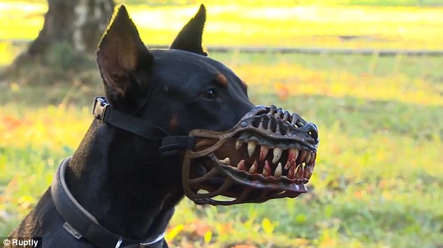 У Росії виготовили "скривавлений" намордник для собак - фото 2