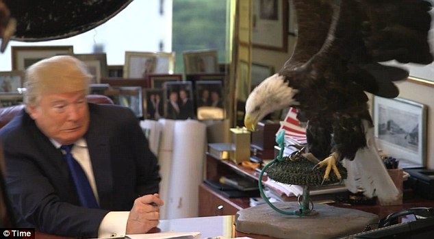 Як орел зіпсував зачіску та фотосесію Дональду Трампу  - фото 1