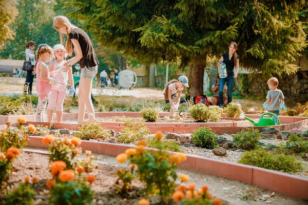 У Вінниці карапузи висадили алею хризантем - фото 2