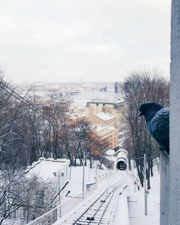 Яу виглядає Київ різдвяний у білому "кожусі"  - фото 2
