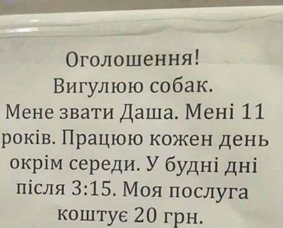 У Києві надають нові послуги: вигул собак по 20 гривень  - фото 1