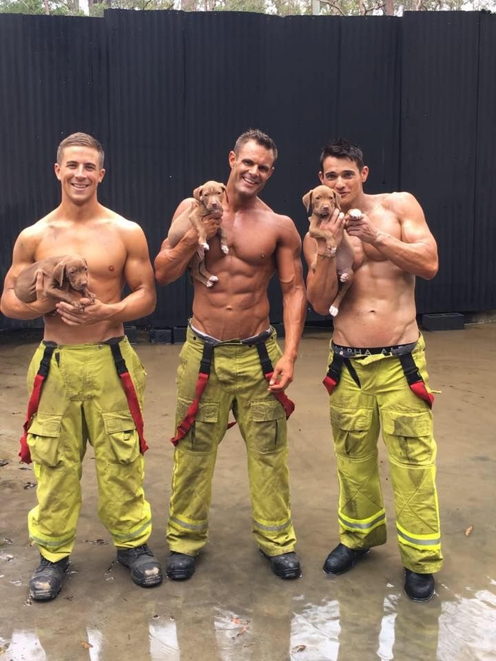 Сексуальні пожежники із милими цуценятами підірвали інтернет  - фото 4