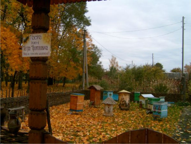 Про правильний мед і правильних бджіл: "Вулична" революція почалася на Сумщині ще 200 років тому - фото 3