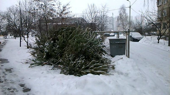 У Києві комунальники не поспішають прибирати звалища новорічних ялинок - фото 1