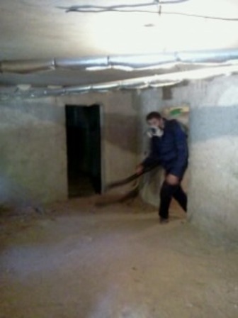 Жителів Святошинського району атакують щурі та комарі (ФОТО) - фото 3