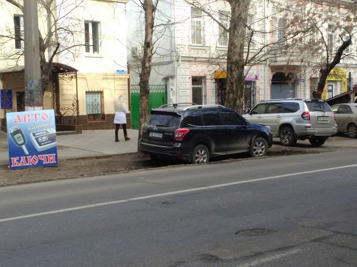 У Миколаєві водій іномарки припаркувався на клумбі біля управління поліції - фото 1