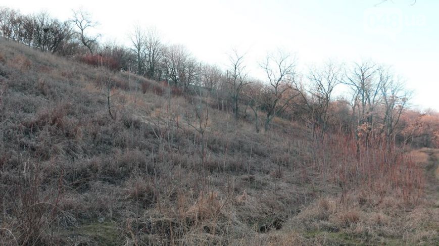 Одесі загрожують серйозні зсуви через забудову узбережжя - фото 2