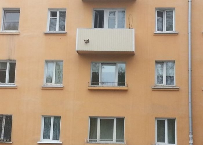 ТОП-20 балконів, володарі яких плювали на оточуючих - фото 5