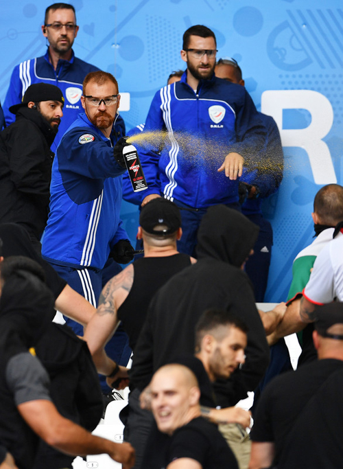 Угорські фанати б'ються з поліцією на стадіоні в Марселі - фото 4