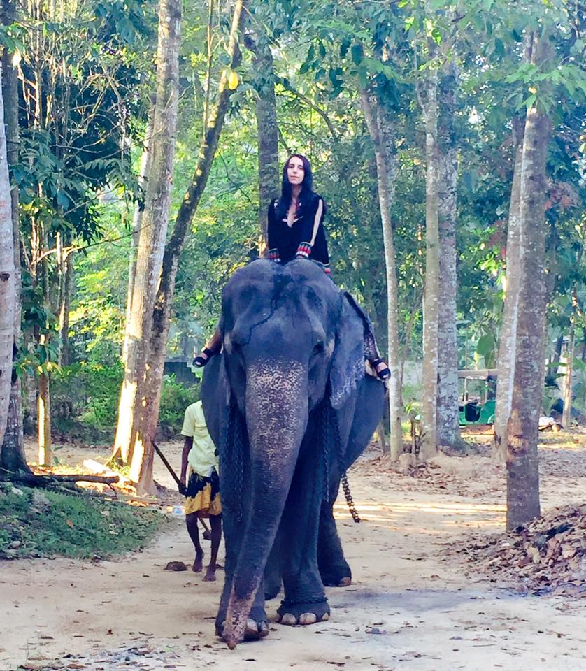 Джамала на Шрі-Ланці осідлала величезного слона - фото 1