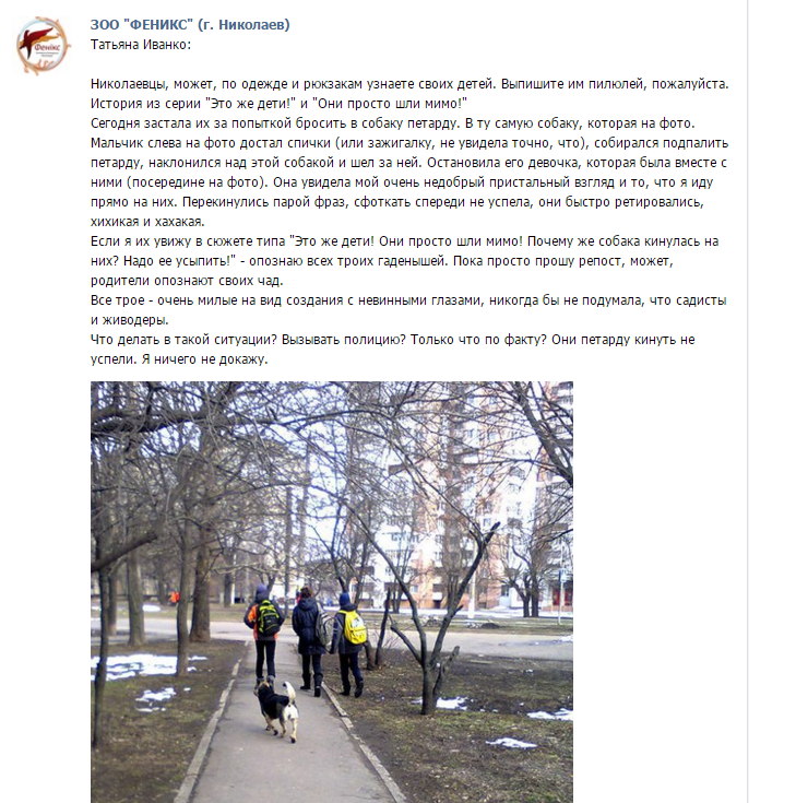 У центрі Миколаєва троє підлітків намагались "підірвати" собаку - фото 1
