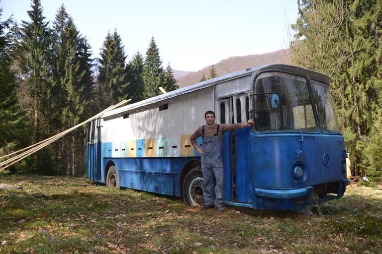На Закарпатті зі старого автобуса зробили гігантський вулик - фото 1