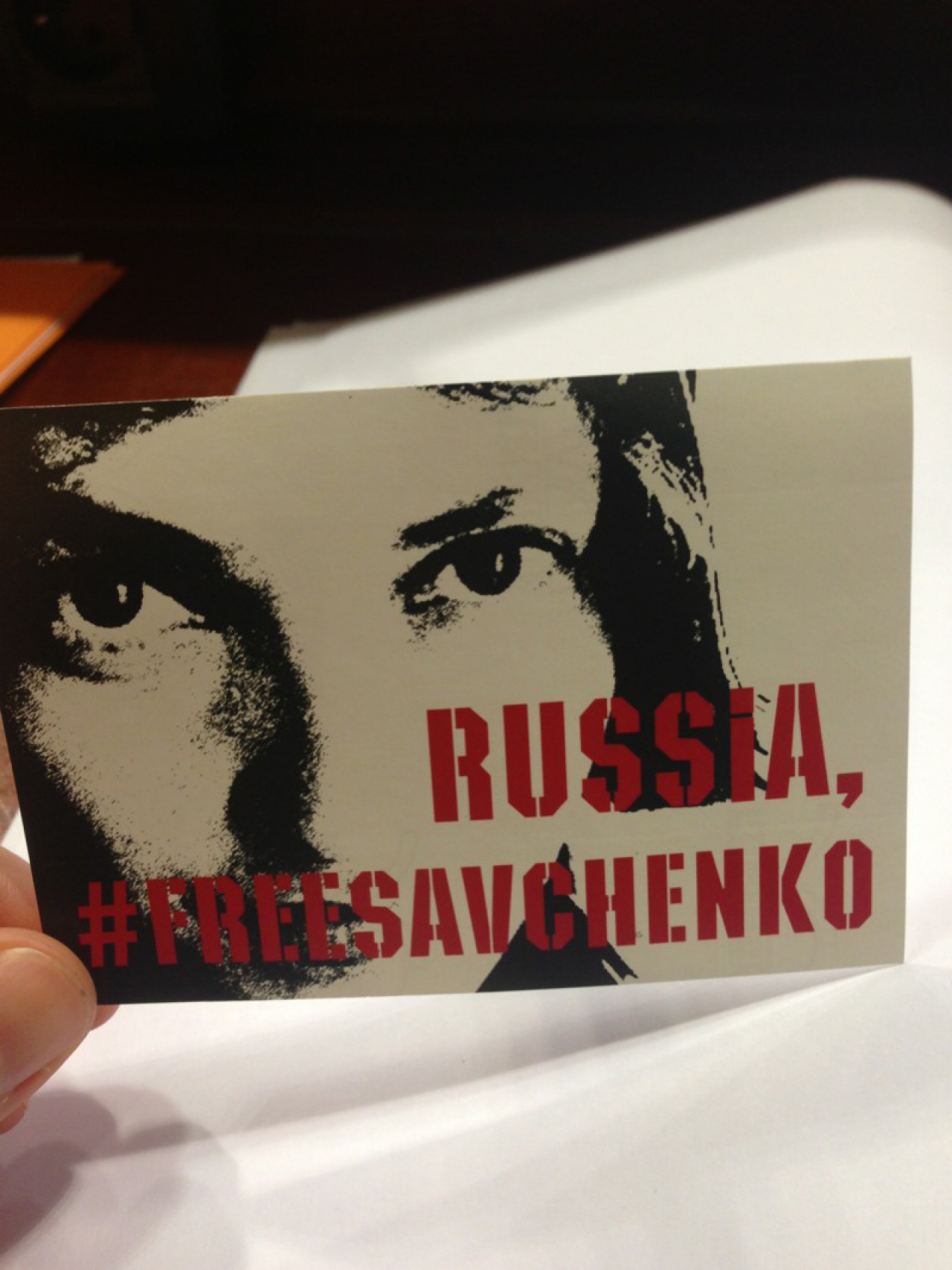 Миколаївська влада приєдналась до флешмобу в підтримку савченко у Стразбурзі - фото 2
