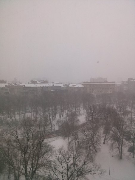 У Харкові розпочався потужний снігопад - фото 8
