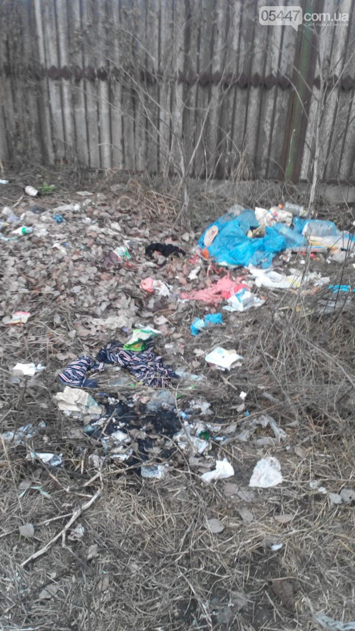 Мешканці Конотопу вимушені човгати по сміттю - фото 1