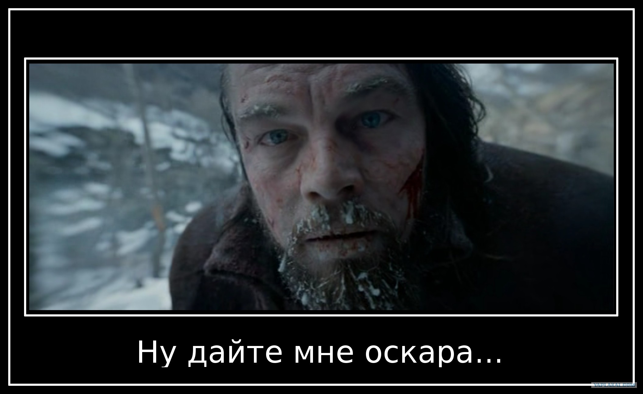 Повстання Дікапристів: соцмережі стібуться над "Оскаром" та Ді Капріо ФОТОЖАБИ) - фото 12 Повстання Дікапристів: соцмережі стібуться над "Оскаром" та Ді Капріо ФОТОЖАБИ) - фото 12