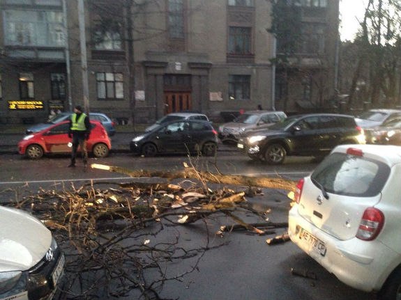 У центрі Києва на автомобілі впало величезне дерево  - фото 2